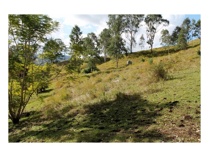 641 Iron Pot Creek Road, Kyogle NSW 2474