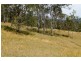 Kyogle NSW 2474