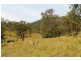Kyogle NSW 2474