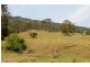 Kyogle NSW 2474