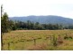 Kyogle NSW 2474