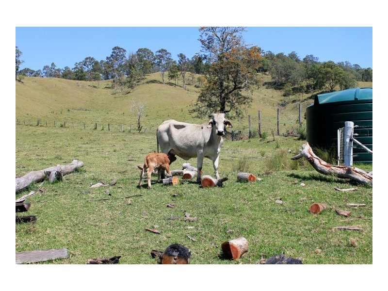 251 Hillyards Road, Kyogle NSW 2474