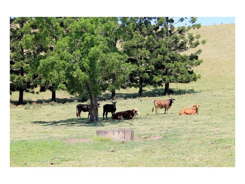 251 Hillyards Road, Kyogle NSW 2474