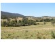 251 Hillyards Road, Kyogle NSW 2474