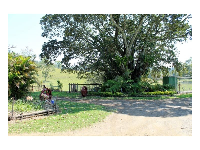 251 Hillyards Road, Kyogle NSW 2474