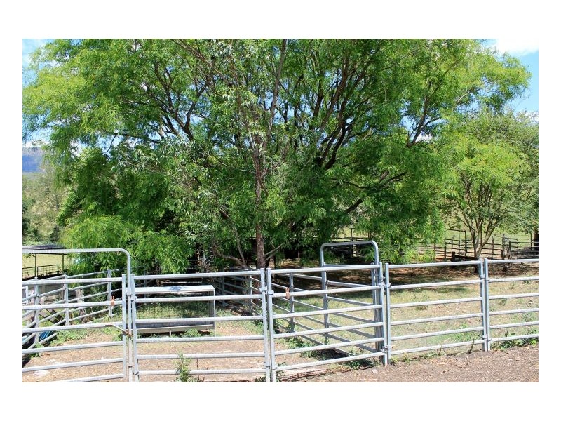 1061 Lynches Creek Road, Kyogle NSW 2474