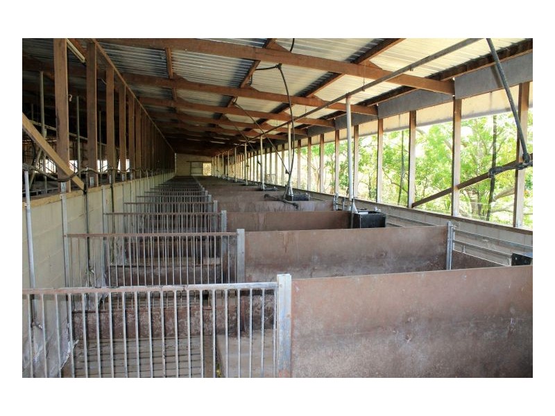 1061 Lynches Creek Road, Kyogle NSW 2474