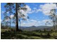 1061 Lynches Creek Road, Kyogle NSW 2474