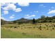 1061 Lynches Creek Road, Kyogle NSW 2474