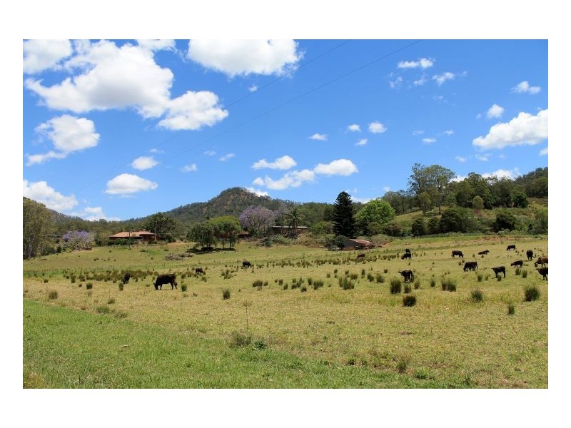 1061 Lynches Creek Road, Kyogle NSW 2474