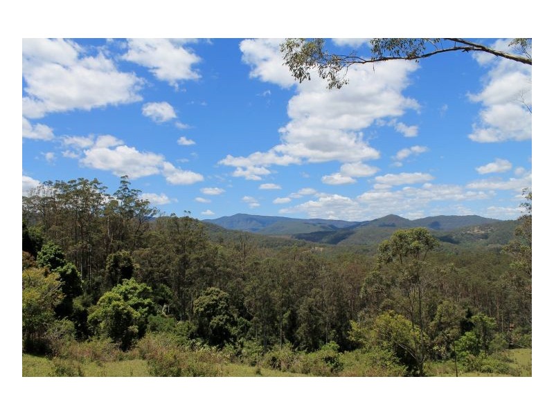 1061 Lynches Creek Road, Kyogle NSW 2474