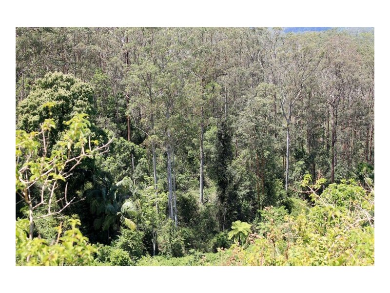 1061 Lynches Creek Road, Kyogle NSW 2474