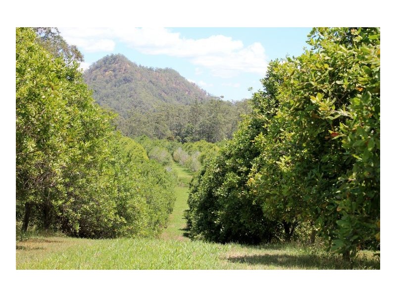 1061 Lynches Creek Road, Kyogle NSW 2474