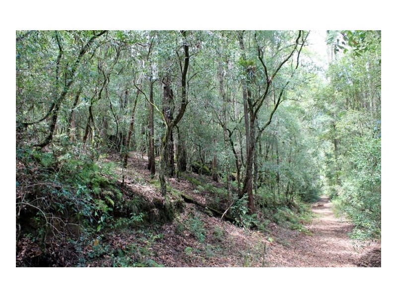 144 Stringy Bark Lane, Kyogle NSW 2474