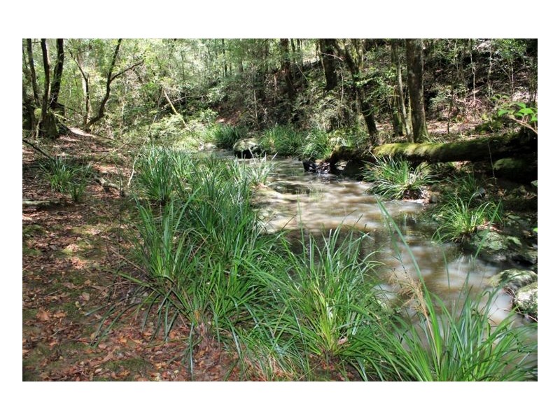 144 Stringy Bark Lane, Kyogle NSW 2474