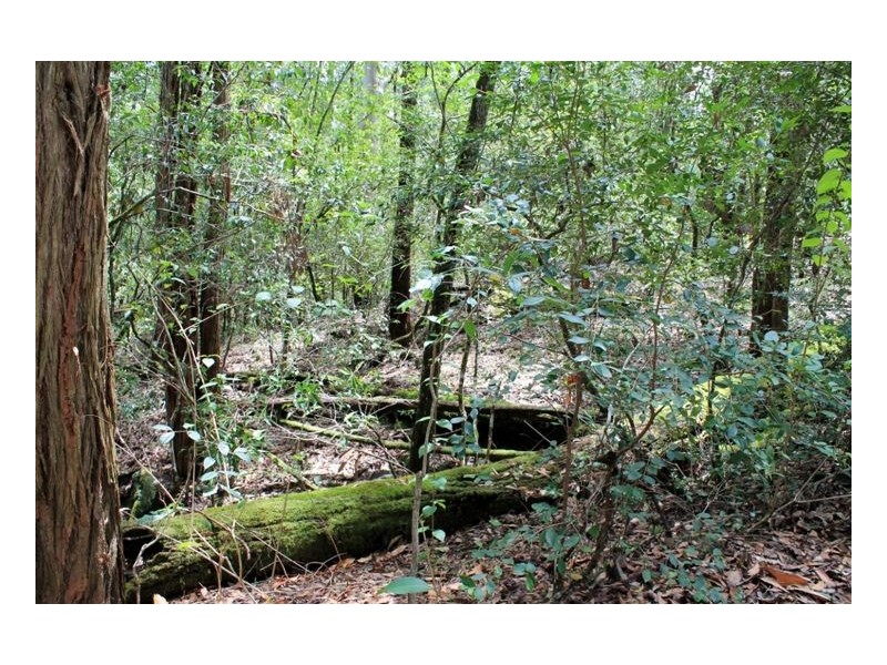 144 Stringy Bark Lane, Kyogle NSW 2474