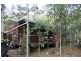 264 Blackhorse Creek Road, Kyogle NSW 2474