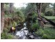 264 Blackhorse Creek Road, Kyogle NSW 2474
