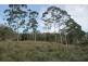 264 Blackhorse Creek Road, Kyogle NSW 2474