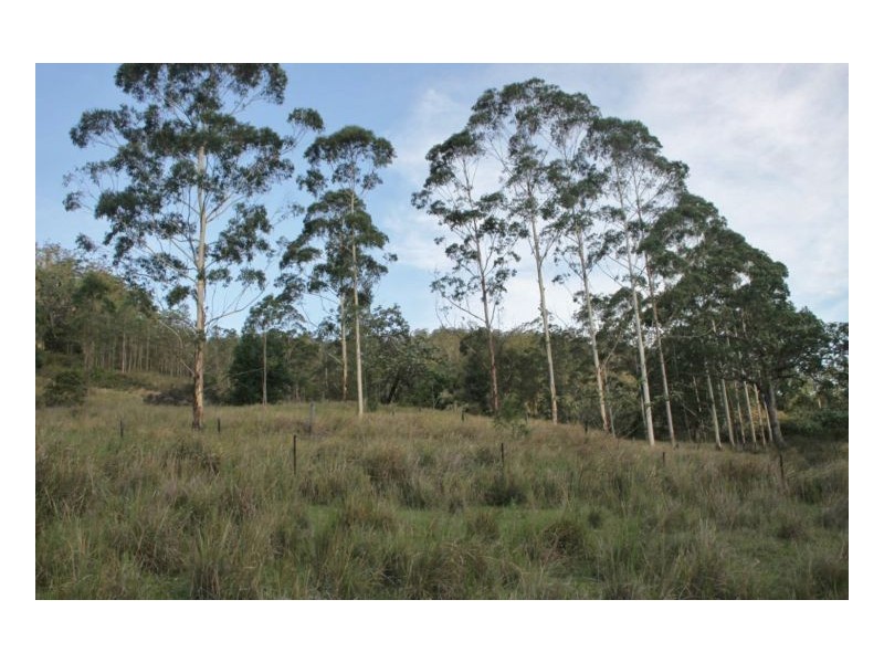 264 Blackhorse Creek Road, Kyogle NSW 2474