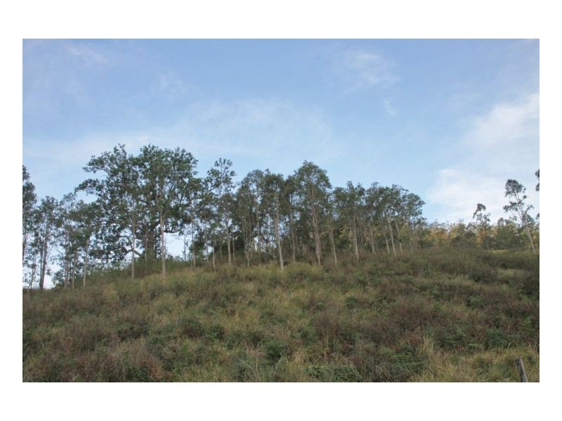 264 Blackhorse Creek Road, Kyogle NSW 2474