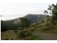 264 Blackhorse Creek Road, Kyogle NSW 2474
