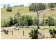 Kyogle NSW 2474