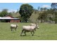 Kyogle NSW 2474