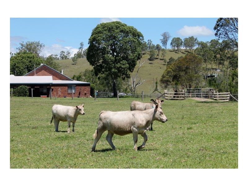 Kyogle NSW 2474