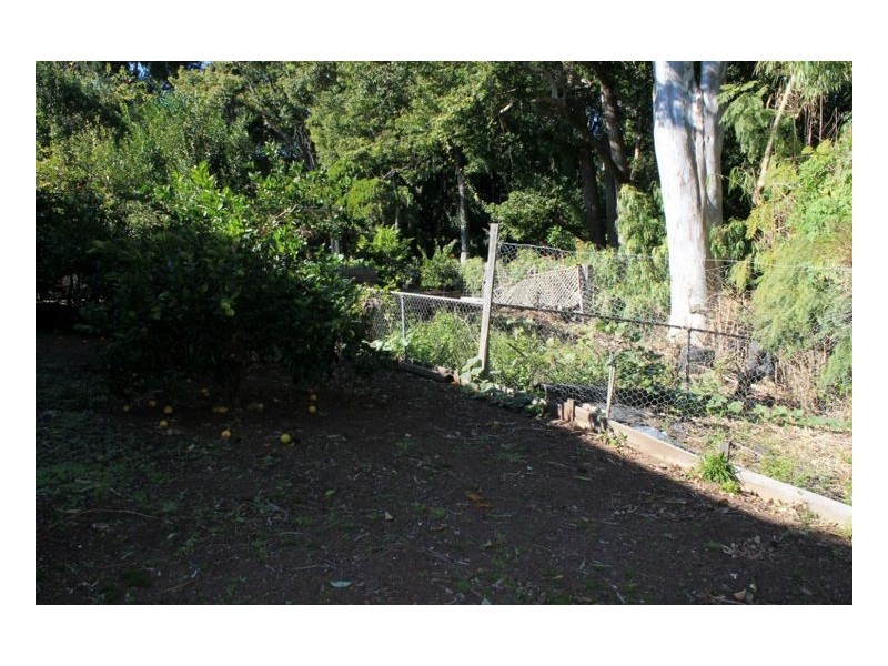 27 Kyogle Road, Kyogle NSW 2474