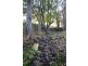 177 Voltz Road, Kyogle NSW 2474