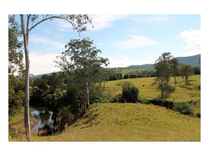 188 Lynchs Creek, Kyogle NSW 2474