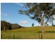 188 Lynchs Creek, Kyogle NSW 2474