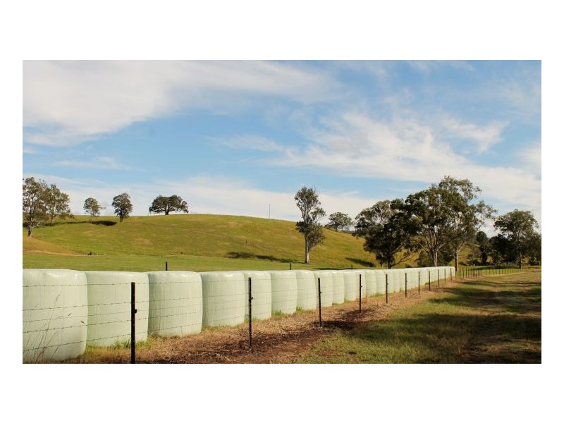 188 Lynchs Creek, Kyogle NSW 2474