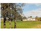 188 Lynchs Creek, Kyogle NSW 2474