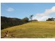 188 Lynchs Creek, Kyogle NSW 2474