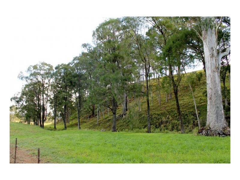 188 Lynchs Creek, Kyogle NSW 2474