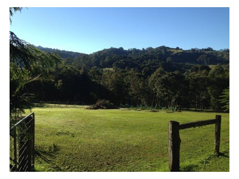 453 Tuntable Creek Road, The Channon NSW 2480