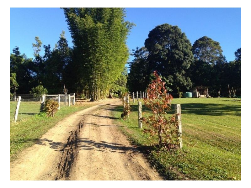 453 Tuntable Creek Road, The Channon NSW 2480