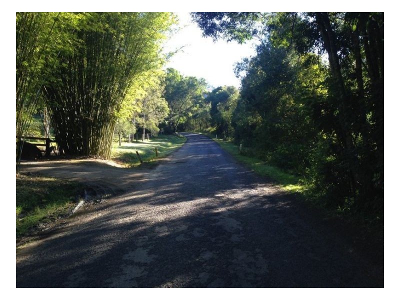 453 Tuntable Creek Road, The Channon NSW 2480