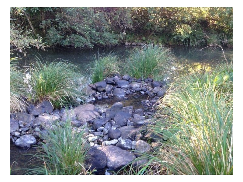 453 Tuntable Creek Road, The Channon NSW 2480