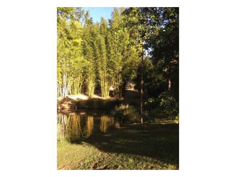 453 Tuntable Creek Road, The Channon NSW 2480