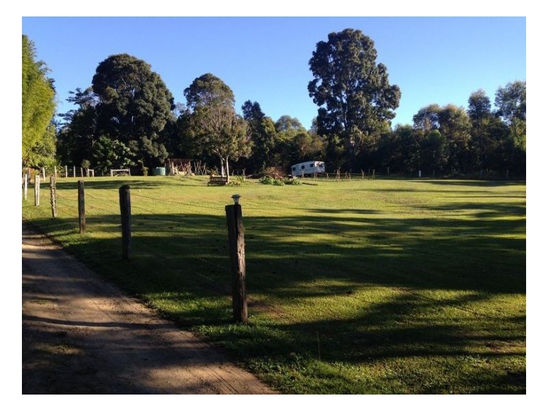 453 Tuntable Creek Road, The Channon NSW 2480