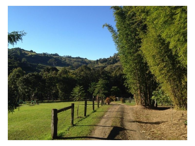 453 Tuntable Creek Road, The Channon NSW 2480