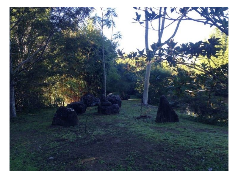 453 Tuntable Creek Road, The Channon NSW 2480