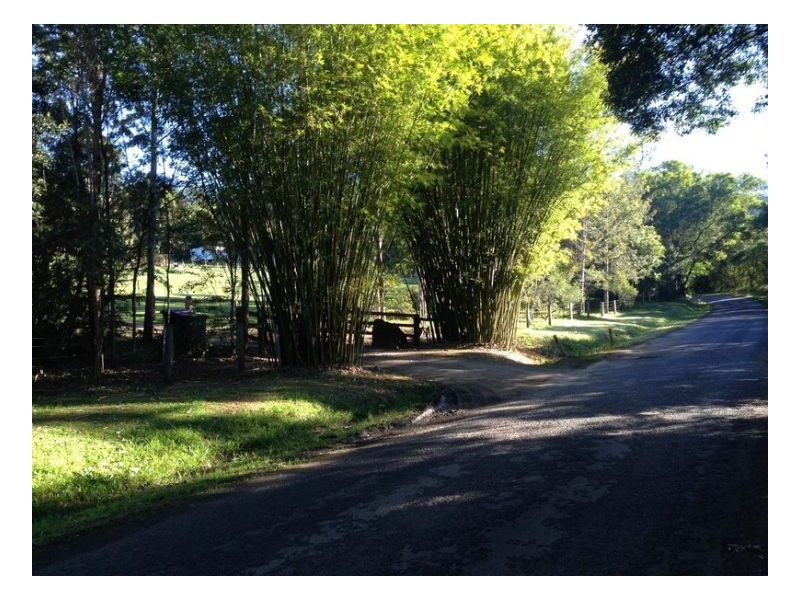 453 Tuntable Creek Road, The Channon NSW 2480