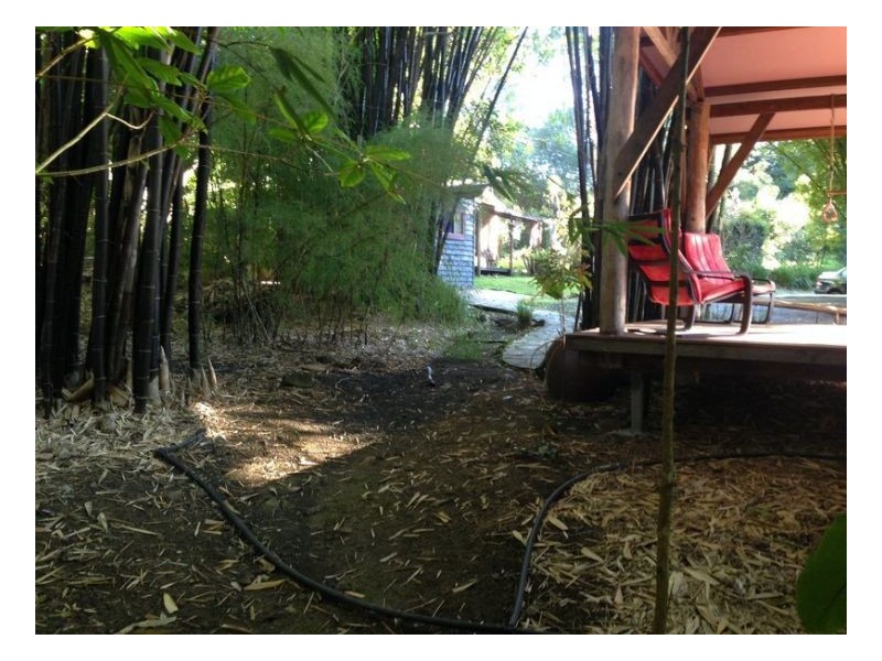 453 Tuntable Creek Road, The Channon NSW 2480