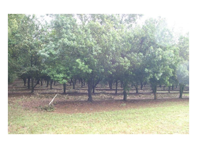 23 Boundary Road, Lindendale NSW 2480