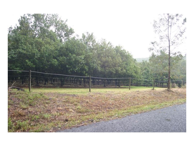 23 Boundary Road, Lindendale NSW 2480