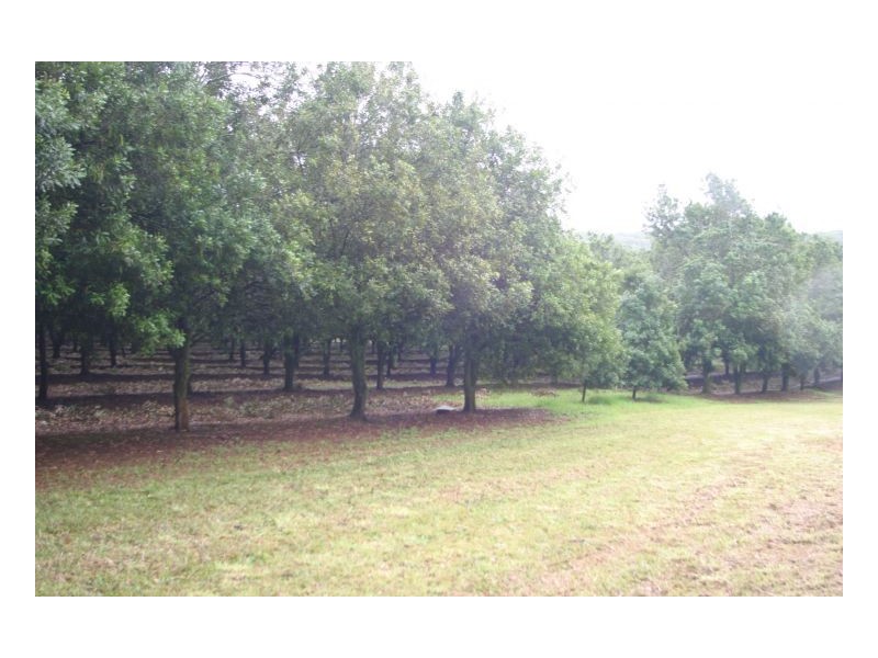 23 Boundary Road, Lindendale NSW 2480